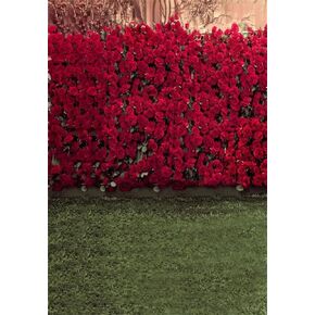 aofoto 8x8ft صورة خلفية التصوير الفوتوغرافي خلفية الزفاف مانور رومانسية روز زهور الحائط ضبابية العشبية عشاق الذكرى السنوية