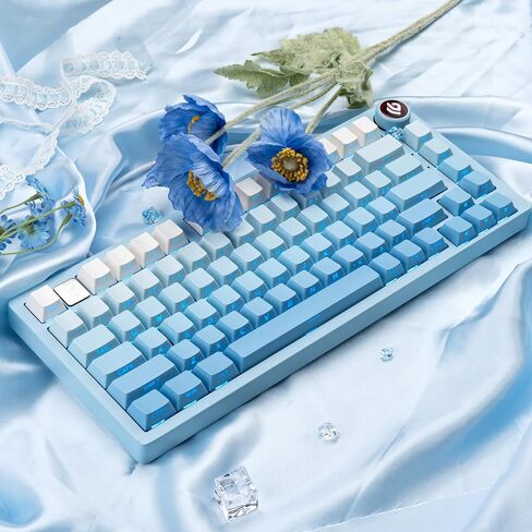 136 مفاتيح كرز ملف تعريف تألق من خلال مجموعة Keycaps PBT ، طباعة مفاتيح مفاتيح متدرج وردي ، مفتاح مفاتيح مفاتيح بيضاء مخصصة مخصصة للإضاءة الخلفية للوحة مفاتيح ANSI/ISO تخطيط ANSI/ISO. in Kuwait