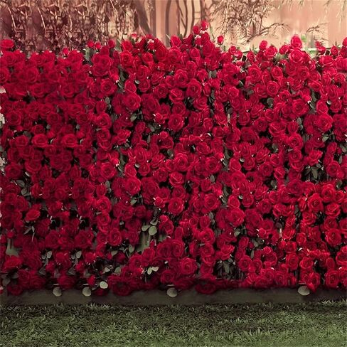 AOFOTO 8x8ft Portrait Backdrops Photography Wedding Background Manor Romance Red Rose Flowers Wall Blurry Grassland Lovers Anniversary Decor Kid Girl Ladies Portrait Photo Shoot Studio Props Vinyl in Kuwait