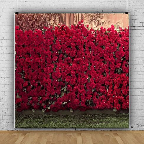 AOFOTO 8x8ft Portrait Backdrops Photography Wedding Background Manor Romance Red Rose Flowers Wall Blurry Grassland Lovers Anniversary Decor Kid Girl Ladies Portrait Photo Shoot Studio Props Vinyl in Kuwait