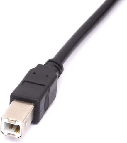 Mini B USB 2.0 Type A Male to Dual USB 2.0 A Male Y Splitter Cable for Delivers Extra Power to External HDD Hard Disk Drives, DVD, CD, Blu-ray (80cm) (USB to Mini) in Kuwait
