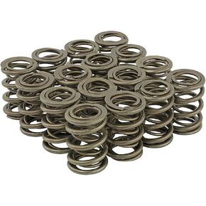 Skunk2 Racing 311-05-7350 Pro Series XP Racing Valve Spring Kit Honda B Series VTEC