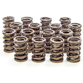 كاميرات Isky Racing (9265) 1.540 "O.D. صمام الربيع