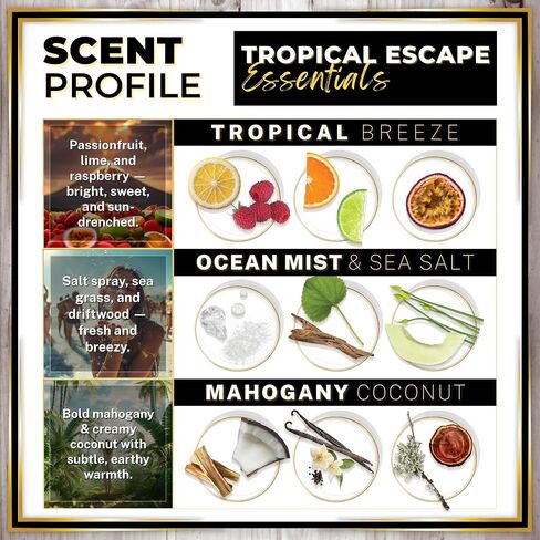 Urban Naturals Car Air Freshener Diffuser 1 Pack - Ocean Mist & Sea Salt Scent, 45+ Days Long Lasting Fragrance, Made in USA, Glass & Wood, Hanging Design + Vent Cip, Easy to Use in Saudi Arabia