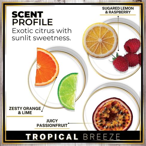 Urban Naturals Car Air Freshener Diffuser 1 Pack - Ocean Mist & Sea Salt Scent, 45+ Days Long Lasting Fragrance, Made in USA, Glass & Wood, Hanging Design + Vent Cip, Easy to Use in Saudi Arabia