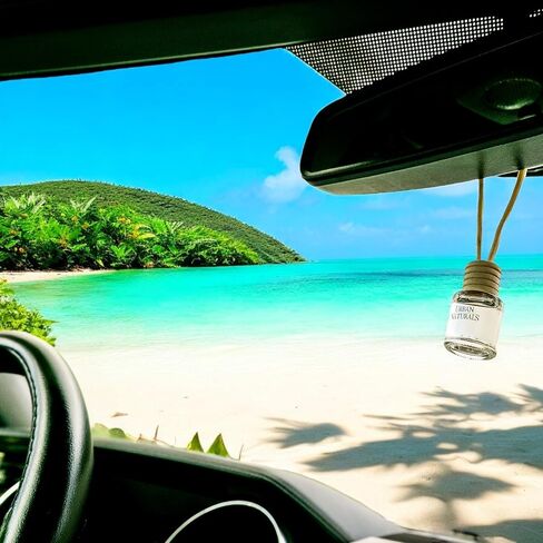 Urban Naturals Car Air Freshener Diffuser 1 Pack - Ocean Mist & Sea Salt Scent, 45+ Days Long Lasting Fragrance, Made in USA, Glass & Wood, Hanging Design + Vent Cip, Easy to Use in Saudi Arabia