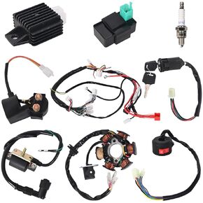 مجموعة تسخير الأسلاك الكاملة للكهرباء ، قم بلفات الملف اللولبي للملف CDI CDI Slop for 4 Wheelers Stroke ATV 50cc 70cc 90cc 110cc 125cc go kart pit Quad Dirt Buggy Buck