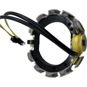 Stator for Johnson Evinrude 60-75 Hp 3 Cylinder 6 amp stator for 583644 583724 583729 583830 173-2724