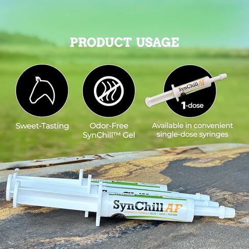 SynChill AF Calming Gel for Nervous Horses - Single Serving - Advanced Formula with L-Theanine, Increased Potency, 100% Natural Supplement, Disposition & Confidence Support for Horses in Kuwait