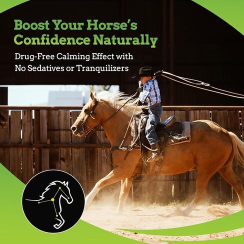 SynChill AF Calming Gel for Nervous Horses - Single Serving - Advanced Formula with L-Theanine, Increased Potency, 100% Natural Supplement, Disposition & Confidence Support for Horses in Kuwait