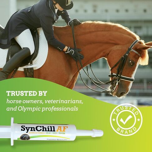 SynChill AF Calming Gel for Nervous Horses - Single Serving - Advanced Formula with L-Theanine, Increased Potency, 100% Natural Supplement, Disposition & Confidence Support for Horses in Kuwait