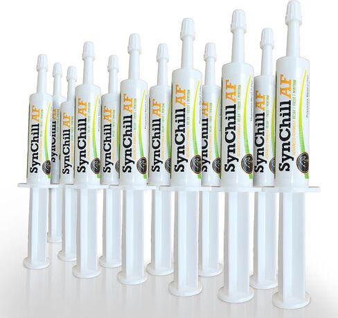 SynChill AF Calming Gel for Nervous Horses - Single Serving - Advanced Formula with L-Theanine, Increased Potency, 100% Natural Supplement, Disposition & Confidence Support for Horses in Kuwait