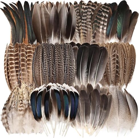 الريش الطبيعي الجزء 55pcs - الحرف اليدوية DIY ، زفاف ، لوازم صياغة in Kuwait