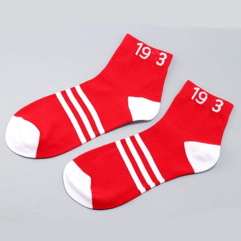 LEVLO Sister Sorority Socks 1913 Sorority Sister Socks Gift Friend Sister Birthday Socks in Kuwait