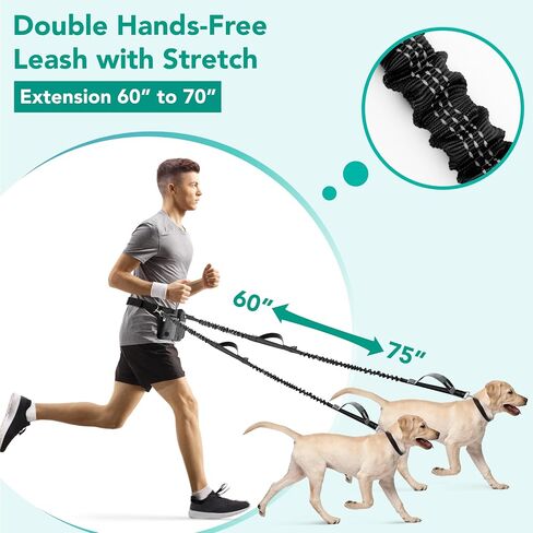 PetAmi Premium Hands Free Dog Leash for 2 Dogs, Adjustable Waist Belt Leash for Dog Walking, Fanny Pack Accessories Bag Dual Bungee Leash for Running, Hiking, Jogging, Biking, Purple in Kuwait