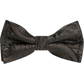Alizeal Boys Classic Paisley Tie قبل التعادل مسبقًا