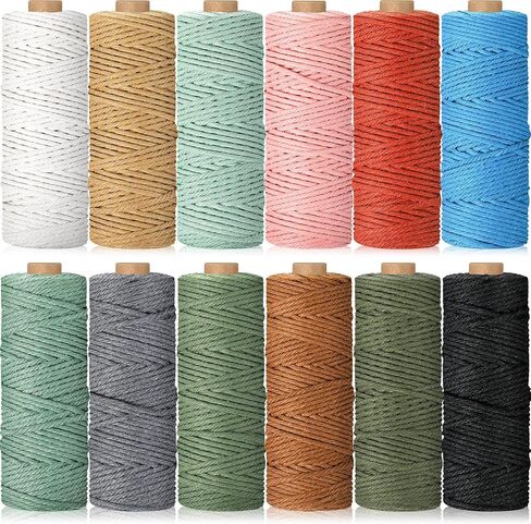 Wesnoy 12 Rolls Macrame Cord, 3 mm x 1308 Yards Natural Cotton Twine, Colored Macrame String, Colorful Cotton Rope for DIY Crafts Knitting, Artworks, Wall Hanging, Plant Hangers (Classic Color) in Kuwait