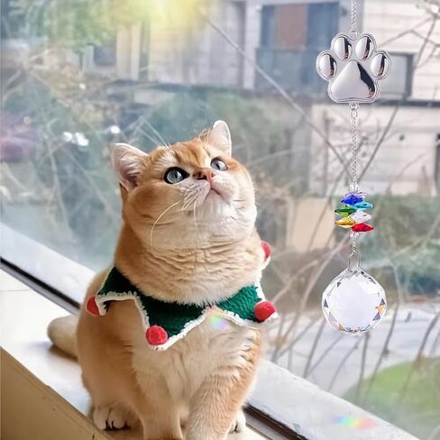 الهدايا التذكارية للحيوانات الأليفة Crystal Suncatcher: هدايا تذكارية للكلاب ، وفقدان هدية تعاطف الكلاب ، زخرفة الفجيعة للحيوانات الأليفة في ذكرى ذكاء شكل الكلاب للكلاب الجرو الموفرة للذكرى (القلب) in Saudi Arabia
