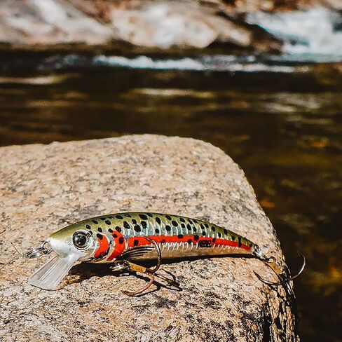 Rebel Lures Original Realistic Crawfish Crankbait Fishing Lure, Flaming Junebug, Wee (5-7 ft Depth) in Kuwait