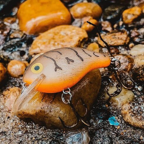 Rebel Lures Original Realistic Crawfish Crankbait Fishing Lure, Flaming Junebug, Wee (5-7 ft Depth) in Kuwait