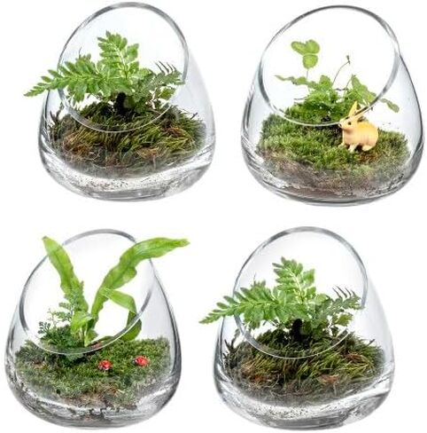 MyGift 5 بوصة قسط من النباتات الزجاجية الصافية terrarium ، mini candy Bowl Jar ، حامل شمعة Tealight ، مزهرية مصنع الصبار النضرة ، مجموعة من 2 in Kuwait