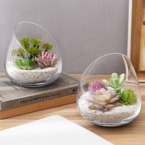 MyGift 5 بوصة قسط من النباتات الزجاجية الصافية terrarium ، mini candy Bowl Jar ، حامل شمعة Tealight ، مزهرية مصنع الصبار النضرة ، مجموعة من 2 in Kuwait