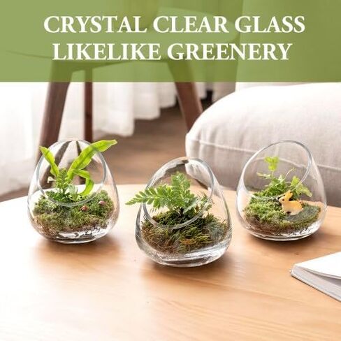 MyGift 5 بوصة قسط من النباتات الزجاجية الصافية terrarium ، mini candy Bowl Jar ، حامل شمعة Tealight ، مزهرية مصنع الصبار النضرة ، مجموعة من 2 in Kuwait