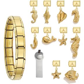 Gold Italian Charm Bracelet Set For Women Diy Handmade With Starter Brascelet, Assorted Charms And Opening Tools, DIY Modular Italian Charm Bracelet Gold