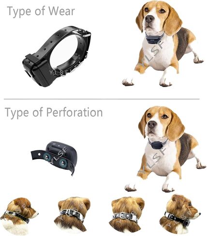 Quick Snap Bungee Dog Collar Strap with D Ring for Most of Electronic Training Shock Collar Receivers-Adjustable Durable Waterproof Odorless 3/4 Inch TPU Collar Replacement for Barking Fence in Kuwait