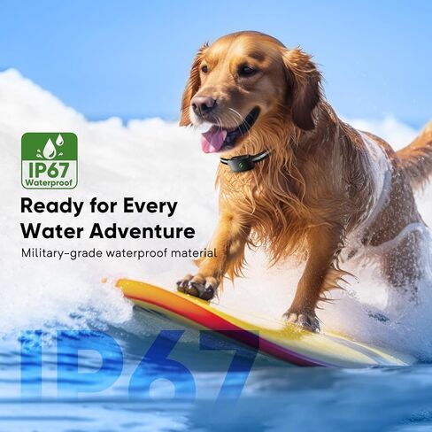 طوق صدمة الكلب مع 10 مستويات صوت صفير ، 2680 قدم 4 طوق تدريب الكلاب الكهربائية مع عن بعد ، مقاوم للماء صدمة الكلاب الكلاب الكلاب المتوسطة الكبيرة (8-120 رطل) أسود in Kuwait