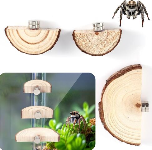 3pcs Jumping Spider Enclosure Ledges, Magnetic Jumping Spider Enclosure Ledges Ladder Magnets Jumping Spider Habitat Pet Spider Enclosure Accessories in Saudi Arabia