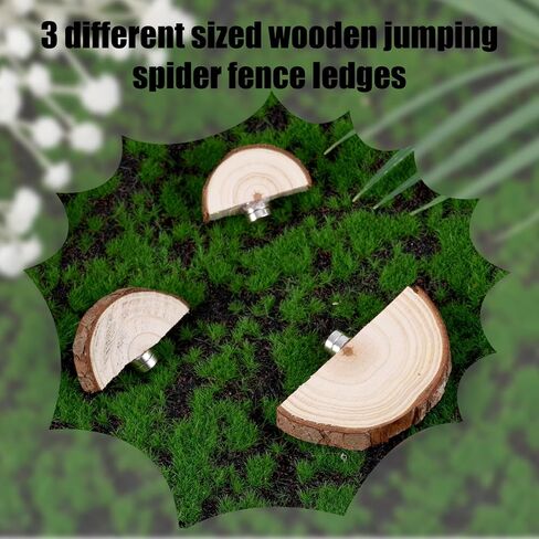 3pcs Jumping Spider Enclosure Ledges, Magnetic Jumping Spider Enclosure Ledges Ladder Magnets Jumping Spider Habitat Pet Spider Enclosure Accessories in Saudi Arabia