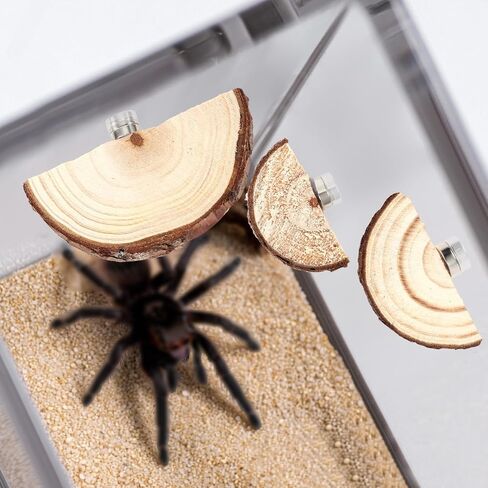 3pcs Jumping Spider Enclosure Ledges, Magnetic Jumping Spider Enclosure Ledges Ladder Magnets Jumping Spider Habitat Pet Spider Enclosure Accessories in Saudi Arabia