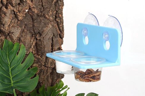 Crested Gecko Feeding Ledge with 10PCS Gecko Food Water Dish - Black in Kuwait