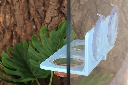 Crested Gecko Feeding Ledge with 10PCS Gecko Food Water Dish - Black in Kuwait