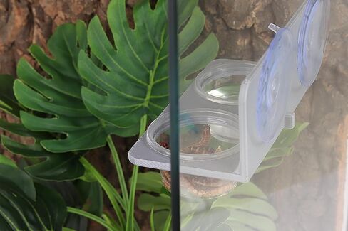 Crested Gecko Feeding Ledge with 10PCS Gecko Food Water Dish - Black in Kuwait