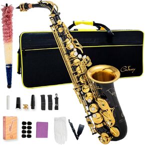 يتضمن الساكسفون Alto Saxophone Eb للمبتدئين فرشاة قماشية وحقيبة قفاز وقطعة صفارة من الفلين وحزام رقبة وإكسسوارات أخرى (ذهبي أسود) in Kuwait