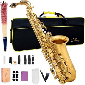 Alto Saxophone Eb beginner Saxophone includes brush canvas suitcase glove whistle piece cork plaster wipe cloth neck strap and other accessories (Black gold)