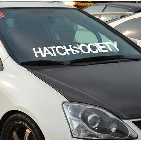 Abused Daily | Car Sticker Decal, Truck, Windshield Banner Sticker, 20 x 4 inches - White Letters Die Cut Vinyl