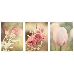 Pink Floral Shabby Chic Flower Prints - Set of 3 - Not Framed - Nursery, Bedroom or Bathroom Decor (3 8x10 Prints Only)