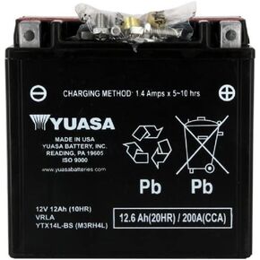Yuasa YUAM3RH4L YTX14L-BS Battery, Multi-Colored