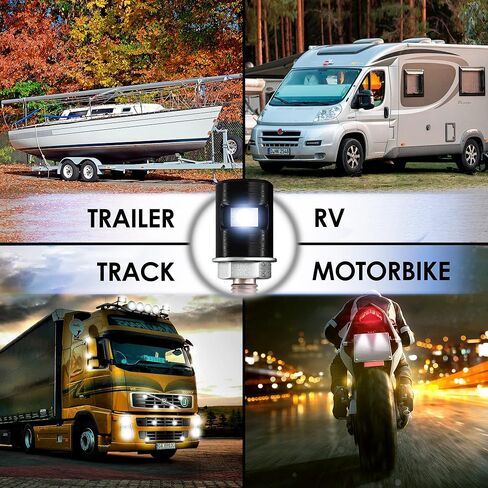 2pcs LED Exterior License Plate Light 12V IP67 - Courtesy Super Brightness 6pcs 6500K Cool Tone SMD-Diodes - Replacement for Car SUV RV Trailer Boat Van Minivan Boat Off-Road Tractor Bus in Kuwait