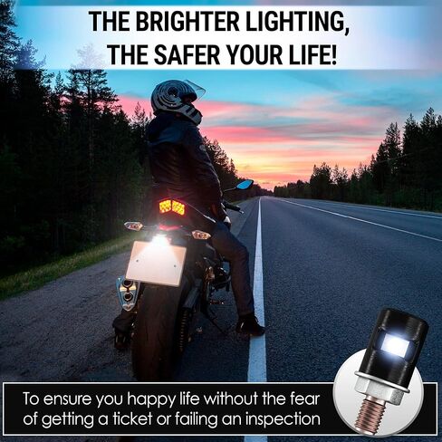 2pcs LED Exterior License Plate Light 12V IP67 - Courtesy Super Brightness 6pcs 6500K Cool Tone SMD-Diodes - Replacement for Car SUV RV Trailer Boat Van Minivan Boat Off-Road Tractor Bus in Kuwait