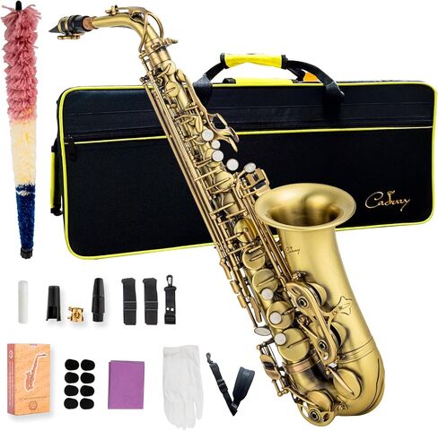يتضمن الساكسفون Alto Saxophone Eb للمبتدئين فرشاة قماشية وحقيبة قفاز وقطعة صفارة من الفلين وحزام رقبة وإكسسوارات أخرى (ذهبي أسود) in Kuwait