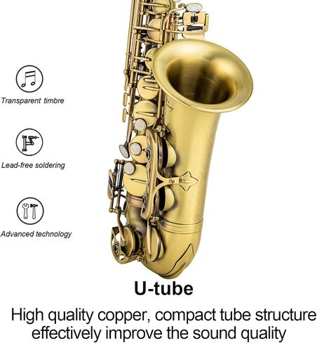 يتضمن الساكسفون Alto Saxophone Eb للمبتدئين فرشاة قماشية وحقيبة قفاز وقطعة صفارة من الفلين وحزام رقبة وإكسسوارات أخرى (ذهبي أسود) in Kuwait