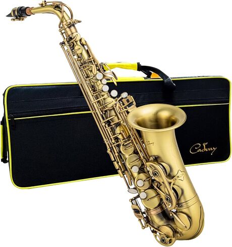 يتضمن الساكسفون Alto Saxophone Eb للمبتدئين فرشاة قماشية وحقيبة قفاز وقطعة صفارة من الفلين وحزام رقبة وإكسسوارات أخرى (ذهبي أسود) in Kuwait