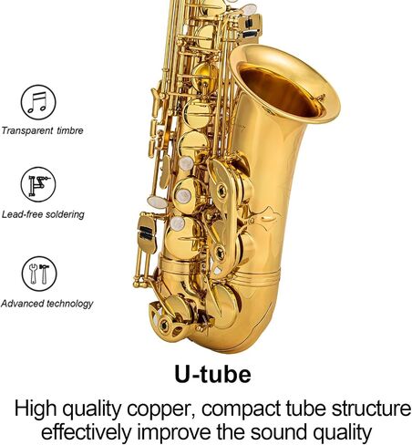 يتضمن الساكسفون Alto Saxophone Eb للمبتدئين فرشاة قماشية وحقيبة قفاز وقطعة صفارة من الفلين وحزام رقبة وإكسسوارات أخرى (ذهبي أسود) in Kuwait