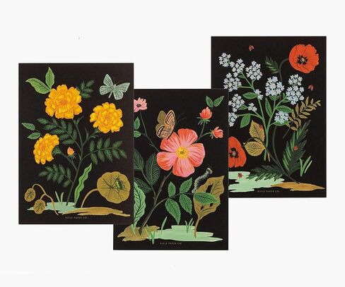 RIFLE PAPER CO. Botanical Social Stationery Set, Our Social Stationery Sets Include 12 Cover-Weight Flat Notes, Each with a Three-Count of Four Different Designs, Inside Matching Envelopes in Saudi Arabia