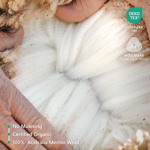 Merino Protect 100 ٪ Merino Wool T chirts for Men Resistance Base Base Base Thirt T-Shirt t-shirt super in Kuwait