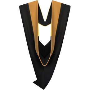 Cappe Diem Master of Business Administration MBA Drab Master Graduation Hood